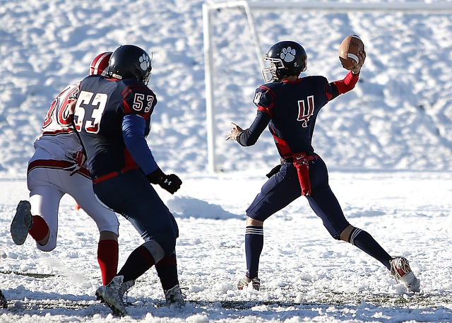 总的来说 总的来说