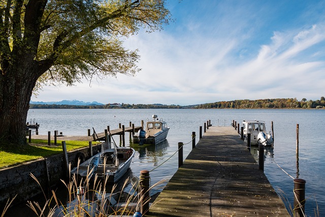 並不是由某 並不是由某