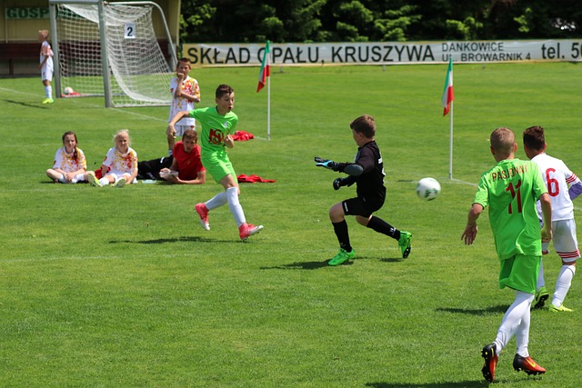 力和竞争力 力和竞争力