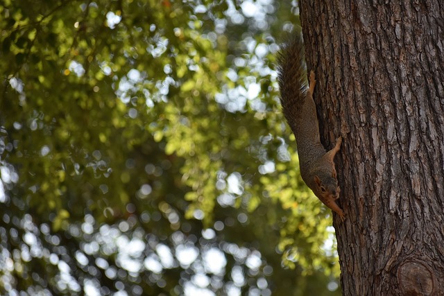 才是关键 才是关键