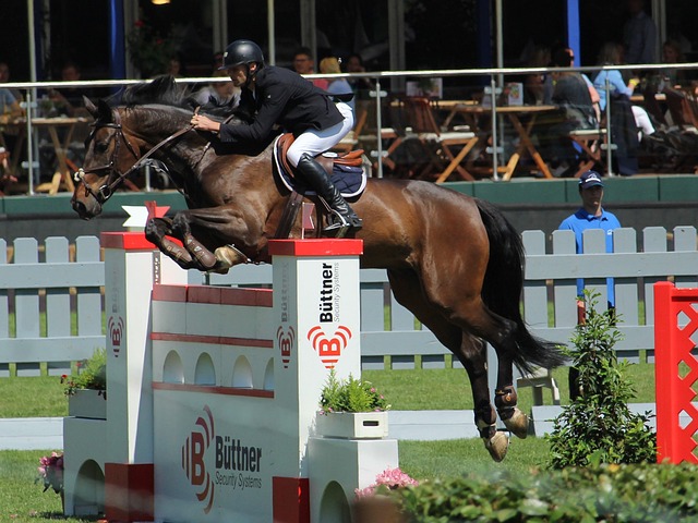 不仅是财力 不仅是财力