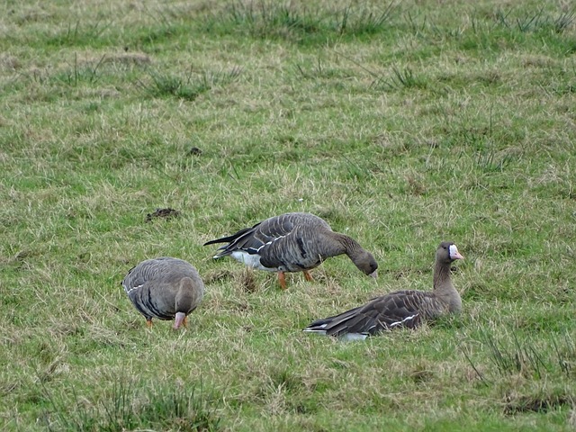 能找到有效 能找到有效