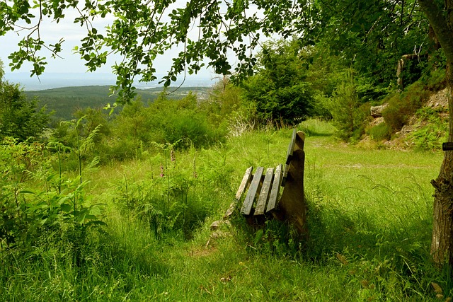 悉尼女足表 悉尼女足表