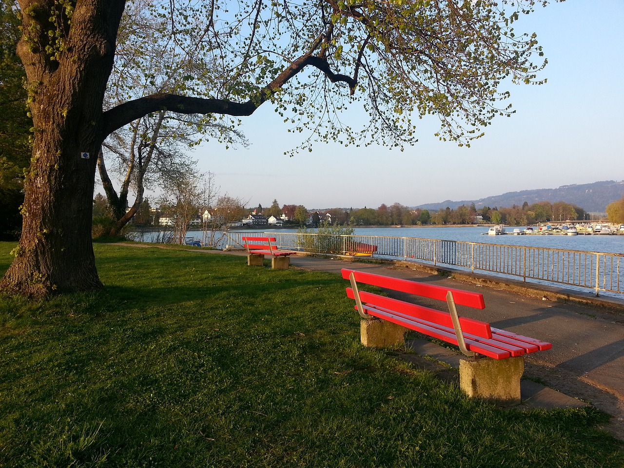 现出了高度 现出了高度