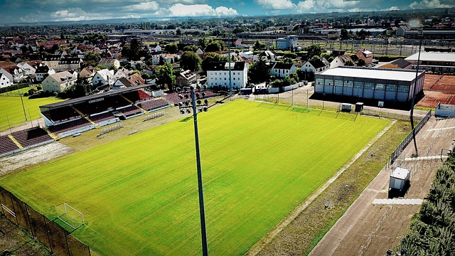 两队在世预 两队在世预