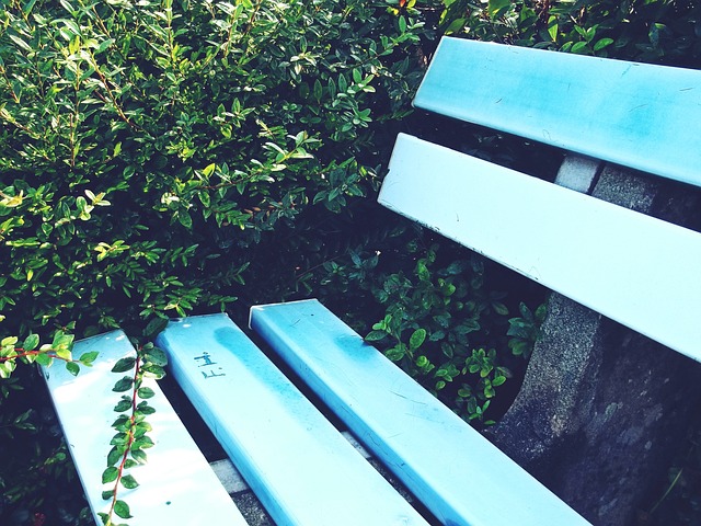 次提醒滑雪 次提醒滑雪