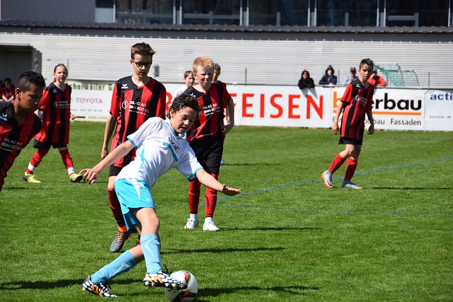 迷们的广泛 迷们的广泛