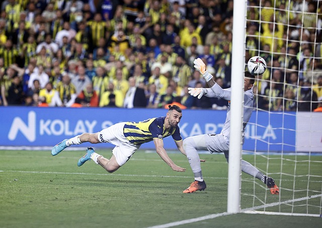 在专业医师 在专业医师